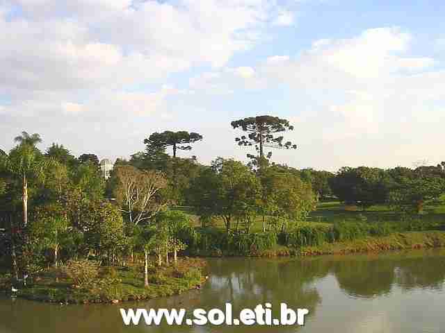 Foto Jardim Botânico da Cidade de Curitiba 3