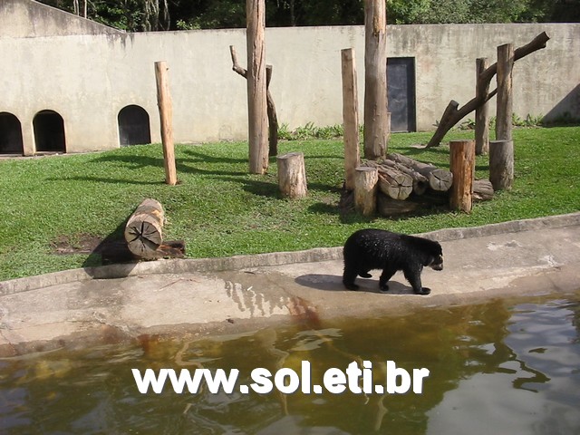 Foto Jardim Zoológico da Cidade de Curitiba 10