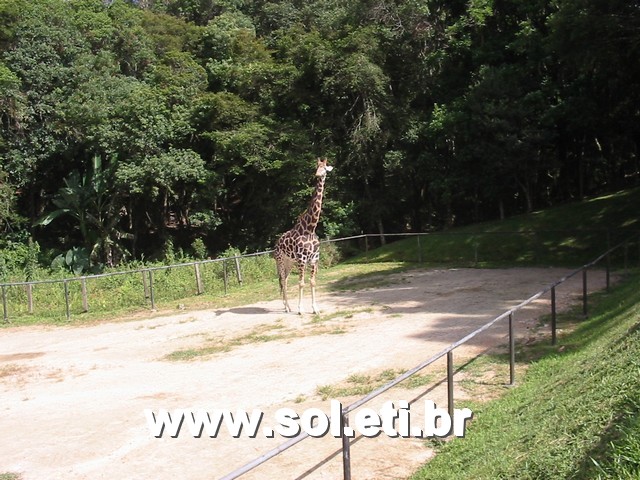 Foto Jardim Zoológico da Cidade de Curitiba 14