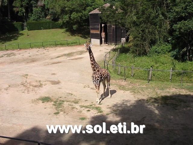 Foto Jardim Zoológico da Cidade de Curitiba 15