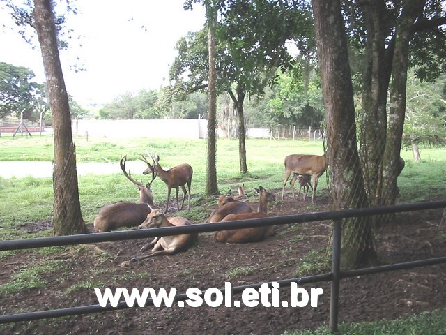 Foto Jardim Zoológico da Cidade de Curitiba 2