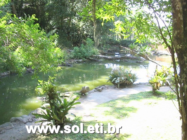 Foto Jardim Zoológico da Cidade de Curitiba 31