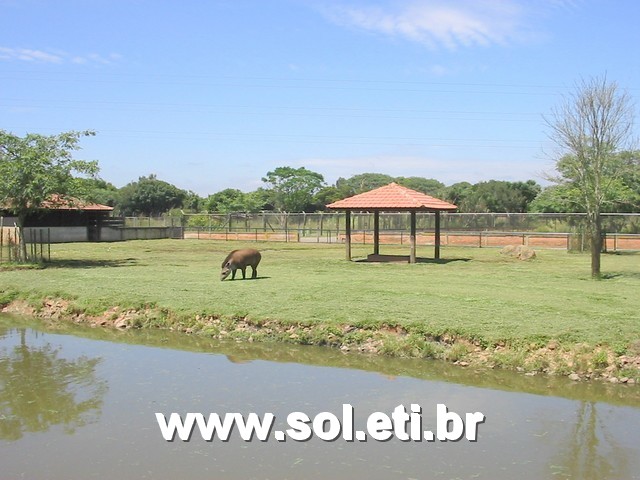 Foto Jardim Zoológico da Cidade de Curitiba 32