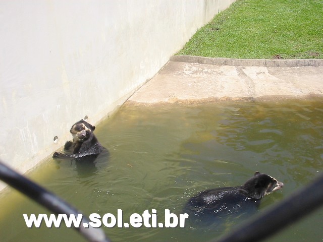 Foto Jardim Zoológico da Cidade de Curitiba 33