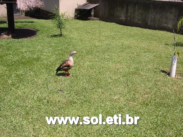 Foto Jardim Zoológico da Cidade de Curitiba 39