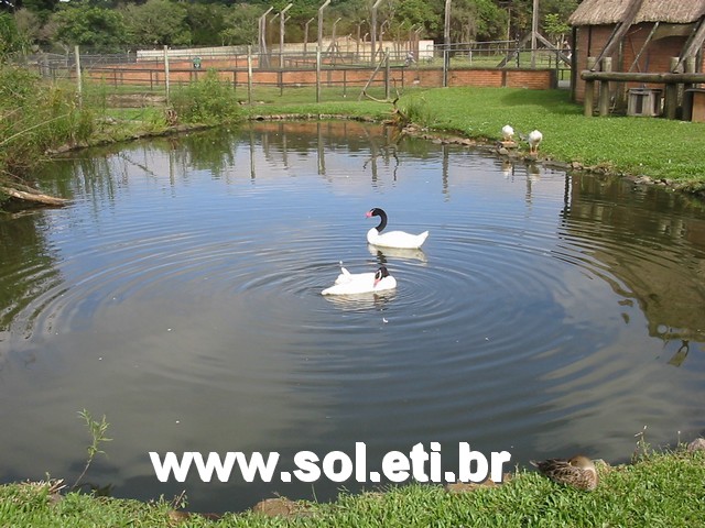 Foto Jardim Zoológico da Cidade de Curitiba 6