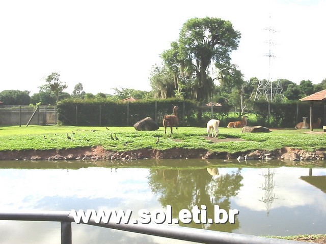 Foto Jardim Zoológico da Cidade de Curitiba 7
