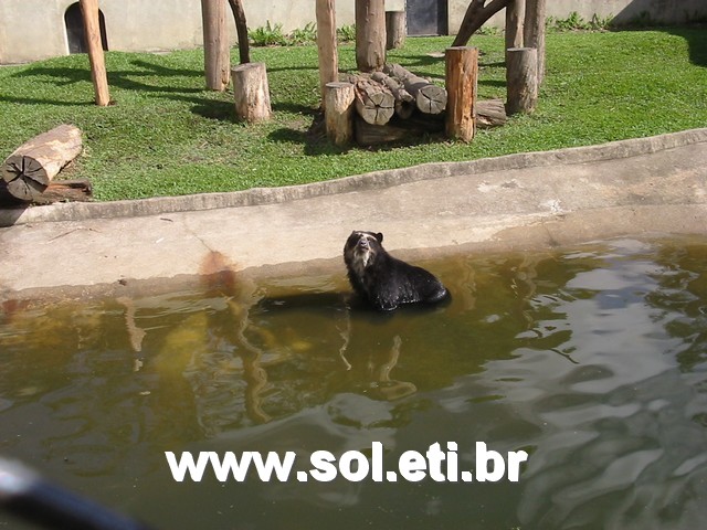 Foto Jardim Zoológico da Cidade de Curitiba 9