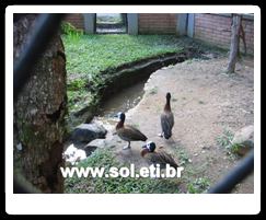Jardim Zoológico da Cidade de Curitiba 1