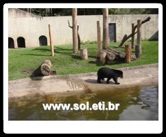 Jardim Zoológico da Cidade de Curitiba 10