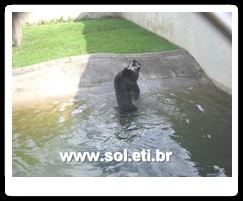Jardim Zoológico da Cidade de Curitiba 11