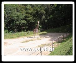 Jardim Zoológico da Cidade de Curitiba 14