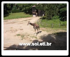Jardim Zoológico da Cidade de Curitiba 16