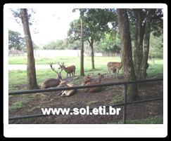 Jardim Zoológico da Cidade de Curitiba 2