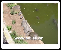 Jardim Zoológico da Cidade de Curitiba 30