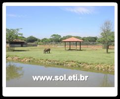 Jardim Zoológico da Cidade de Curitiba 32
