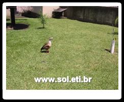 Jardim Zoológico da Cidade de Curitiba 39