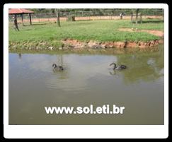 Jardim Zoológico da Cidade de Curitiba 8
