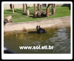 Jardim Zoológico da Cidade de Curitiba 9