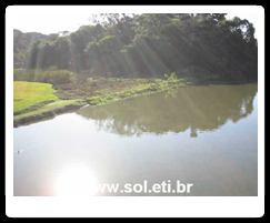 Parque Barigui da Cidade de Curitiba 12