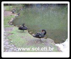Universidade Livre do Meio Ambiente da Cidade de Curitiba 5