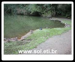 Universidade Livre do Meio Ambiente da Cidade de Curitiba 7