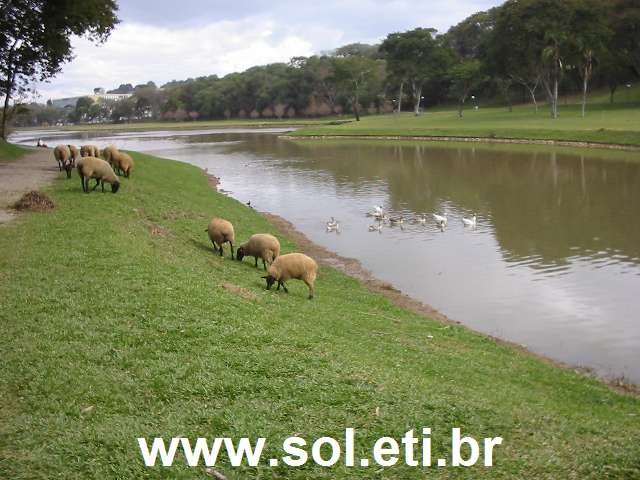 Foto Parque São Lourenço da Cidade de Curitiba 14
