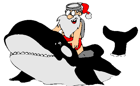 Papai Noel Nadando Com A Baleia.