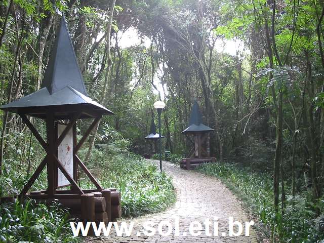 Foto Bosque Alemão da Cidade de Curitiba 1