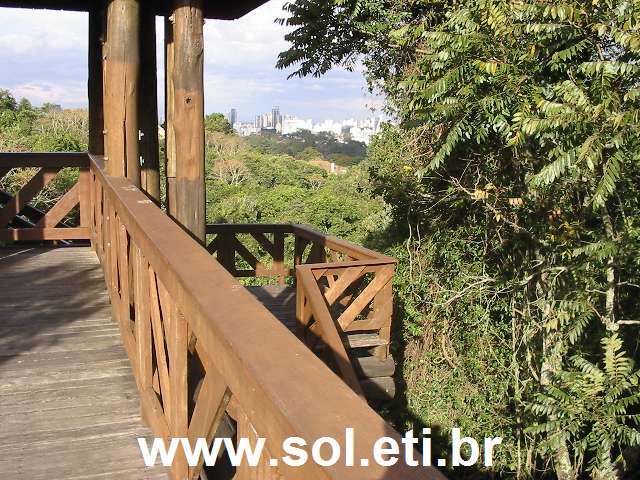 Foto Bosque Alemão da Cidade de Curitiba 10