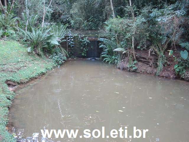 Foto Bosque Alemão da Cidade de Curitiba 6