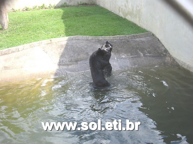 Foto Jardim Zoológico da Cidade de Curitiba 11