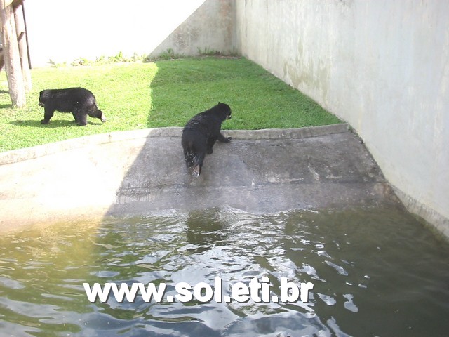 Foto Jardim Zoológico da Cidade de Curitiba 12