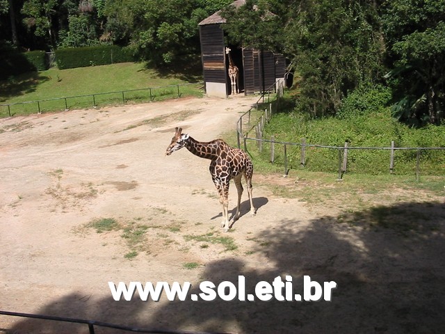 Foto Jardim Zoológico da Cidade de Curitiba 16