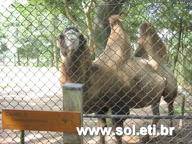 Foto Jardim Zoológico da Cidade de Curitiba 21