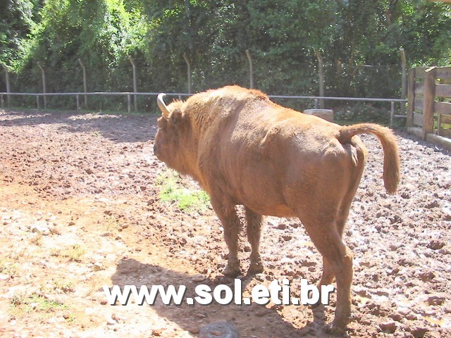 Foto Jardim Zoológico da Cidade de Curitiba 26