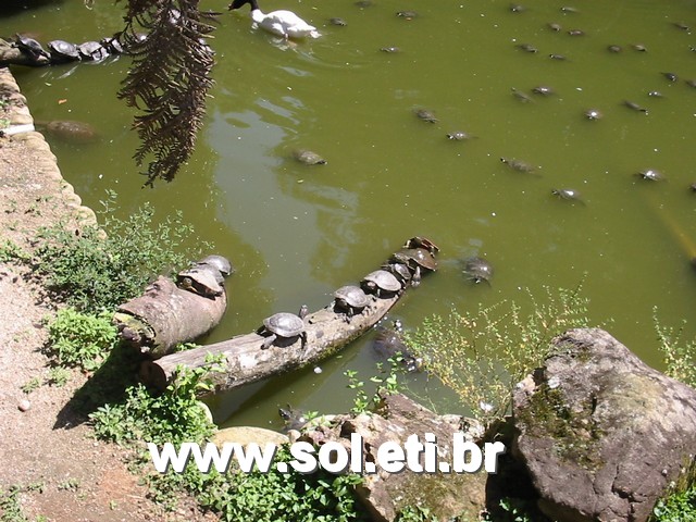 Foto Jardim Zoológico da Cidade de Curitiba 28