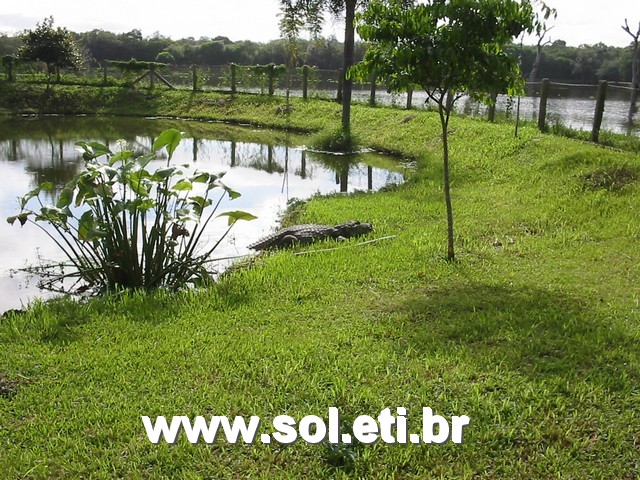 Foto Jardim Zoológico da Cidade de Curitiba 4