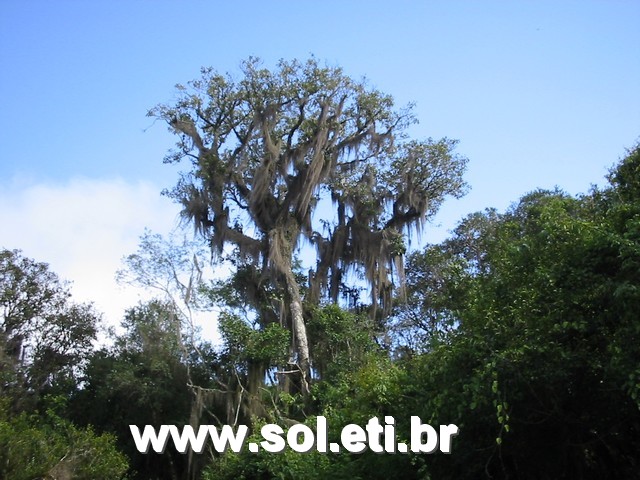 Foto Jardim Zoológico da Cidade de Curitiba 40