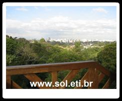 Bosque Alemão da Cidade de Curitiba 11