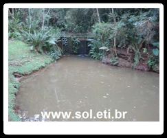 Bosque Alemão da Cidade de Curitiba 6