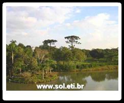 Jardim Botânico da Cidade de Curitiba 3