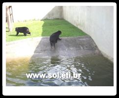 Jardim Zoológico da Cidade de Curitiba 12