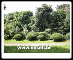 Jardim Zoológico da Cidade de Curitiba 20