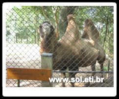 Jardim Zoológico da Cidade de Curitiba 21