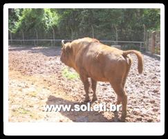 Jardim Zoológico da Cidade de Curitiba 26