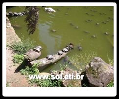 Jardim Zoológico da Cidade de Curitiba 28