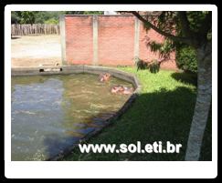 Jardim Zoológico da Cidade de Curitiba 34