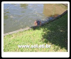 Jardim Zoológico da Cidade de Curitiba 35