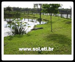 Jardim Zoológico da Cidade de Curitiba 4